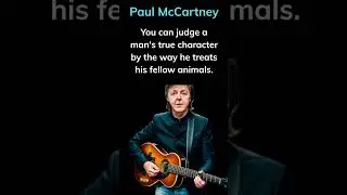 PAUL McCARTNEY 🎸 Top 3 Quotes #paulmccartney #thebeatles #music #quotes