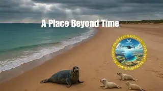 Between Earth and Eternity: Holkham Beach in 4K