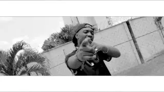 Geniuzz - PandA-Monium (Panda Cover Viral Video)