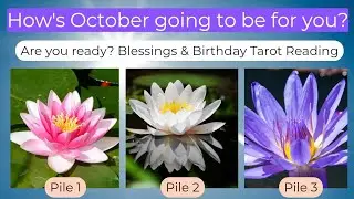 October 2025 & Birthday Month 🦋 Pick a Card 🤩 Detailed Monthly Tarot Reading 🔮 Date of Birth Wise