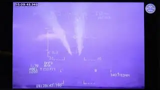 LCA Tejas Wake Penetration Testing