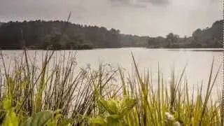 lake1