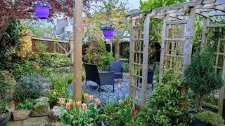 Mid April garden tour/ Spring garden tour UK / pretty tulip flowers & spring blooms