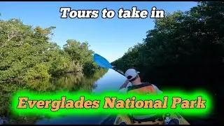 What tours should you take in Everglades National Park?