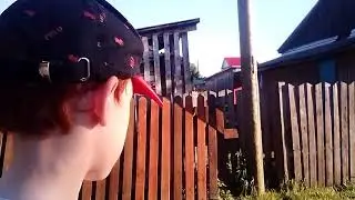 3 видов за день