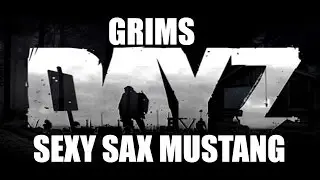 Dayz Standalone | Random Moments With Grim and Friends