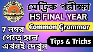 HS final exam english grammar correct tense/grammar/English question answer/HSLC Final exam question