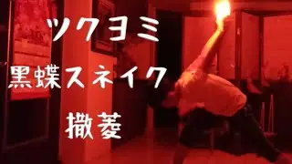 【ヲタ芸】ツクヨミ/黑蝶スネイク/撒菱 - 泰瑞♪凛として咲く花の如く【風城界隈Kaze-Uni&Omega;n】