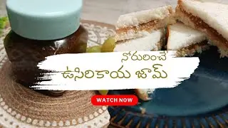 మా హెల్త్ సీక్రెట్ రెసిపీ | amla jaam @reallymomlife 
