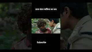Pushpa Movie Explained | Full Story, Characters & Ending Breakdown #shorts