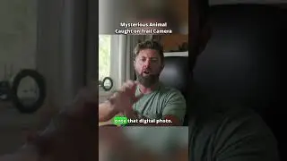 Wildlife Expert Reacts To Mystery Animals Caught on Camera