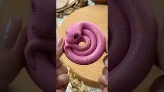 Pink Snake 🐍💕