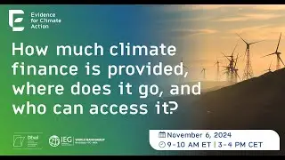 How much climate finance is provided, where does it go, and who can access it?
