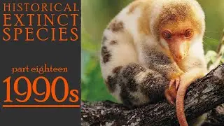 Historical Extinct Species #18 1990s