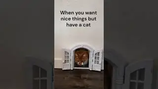 DIY Cat Door