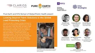 Looking Beyond Paint: Solutions to the Global Lead Poisoning Crisis