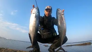 טוניות בזירזור מהחוף בפייט מטורף🐟🐟|💥little tunny spinning fishing 🐟 |💥savage gear|דייג 2020