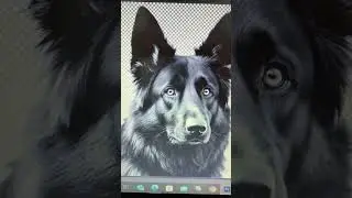 German shepherd black dog digital svg file bundle
