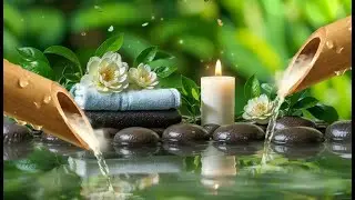 Relaxing Music with  Bamboo Water Sounds 🌿 Deep Healing and Meditation ,Spa