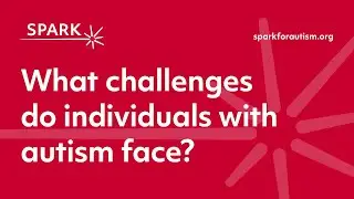 What challenges do individuals with autism face?