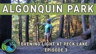 Algonquin Park - Evening Light At Peck Lake - Episode 3