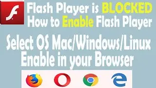 How to Enable Flash Player on Browser | Flash player is block | How to fix | How to Download Flash
