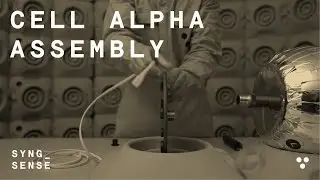 Cell Alpha Assembly | Syng Sense