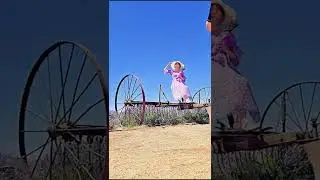 123 Lavender Farm Vlog