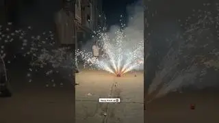 Peacock Fireworks Happy Diwali 2025 🔥💥 #diwali #fireworks #diwali2025