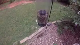 GOPRO: Public Service Announcement