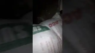 Bhai first time u tube per kush Kr raha hu