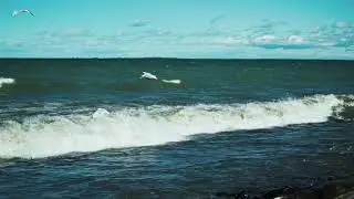 lake erie shoreline