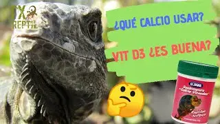 ¿QUÉ CALCIO USAR EN IGUANAS?//¿ VITAMINA D3?