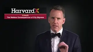 Urban Economics 101: The Welfare Consequences of City Bigness