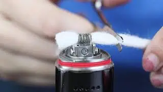 Wismec ---- R80