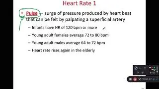 BIOL 314  Cardiac Output and Heart Rate (Ch 19 Part 5)