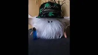 Weedspeed 