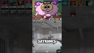 ggiden_ БАРАШ И ЕЖИК КОНЕЦ #shorts #short #cs2