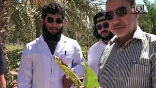 نادي علم البحار بجامعة طيبة بينبع | رحلة اكتشاف المناطق الحيوية (مزرعة المرزوقي)