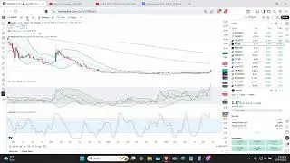 Augur REP update #2 - October 24th 2025