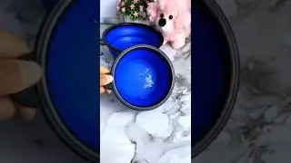 portable Silicone pet bowl #pet #shorts #potable #followme #Subscribe