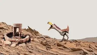 Perseverance Rover Captured Mars Planet Real Video on Sol 912 | Mars Rover Footage | Mars New Video