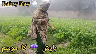Today it rained near us || Village Rainy Day 🌧 || Happy Mano Family