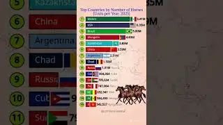 Top 15 Countries with the Most Horses in 2025 🐎🌍 #shortvideo