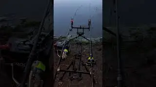 CARP RUN COMPILATION 2023