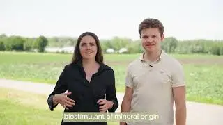 Vitisol - natural protection against heat stress and sunburn