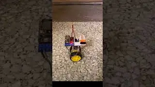 Self balance robots