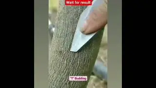 #hdriphoneographer
