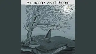 Vivid Dream