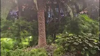 🌴Lotnisko dla każdego palmiarza. Palmy, strefy relaksu. Tu można odpocząć czekając na kolejny lot✈️.